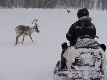 Raid aventure motoneige en Finlande